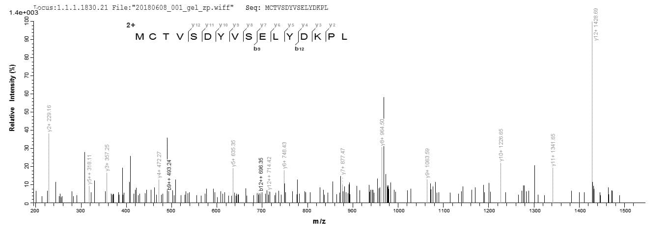 Vaccinia Virus Smallpox-B5R Protein (Recombinant MBP, N-terminus + 6His, C-terminus)