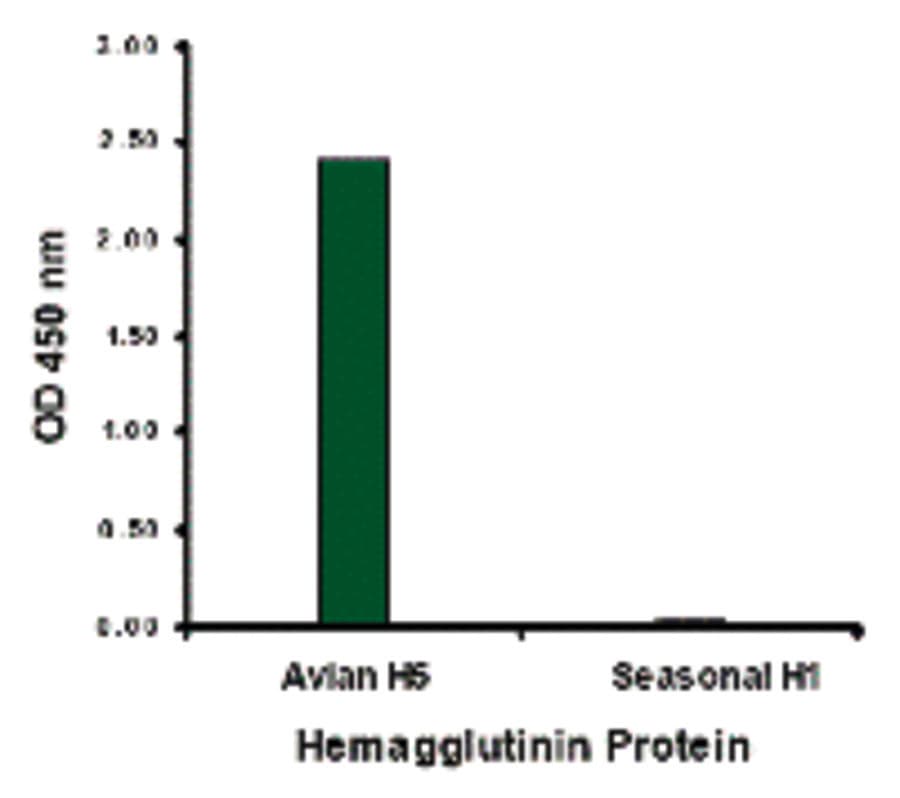 Polyclonal Goat anti-Virus Influenza A Virus Hemagglutinin Antibody
