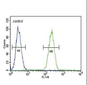 GIPR / GIP Receptor Antibody (aa7-38)