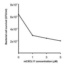 Mouse VCC-1 / CXCL17 Protein (Recombinant)