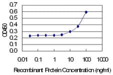 IHC-plus™ PPID / Cyclophilin D Antibody (clone 4C7)