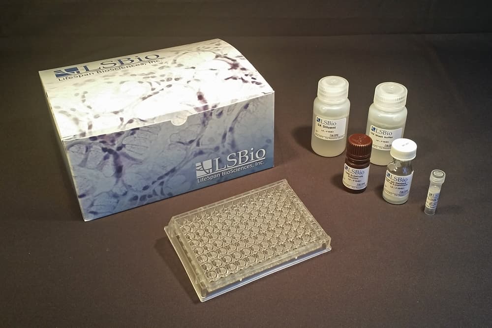 Mouse Complement C3 ELISA Kit (Sandwich ELISA)