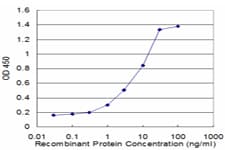 Monoclonal Mouse anti-Human ELK3 / NET Antibody (clone 3A12, WB)