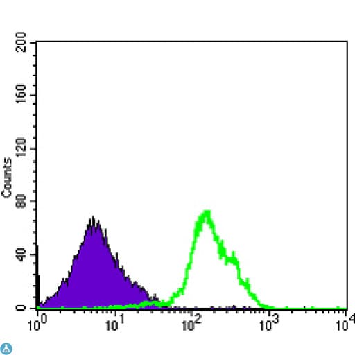 CD1A Antibody