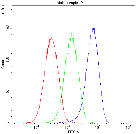 PNP / Nucleoside Phosphorylase Antibody (DY488)