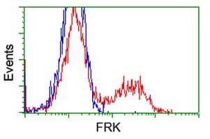 Monoclonal Mouse anti-Human FRK Antibody (clone OTI6D2, IHC, IF, WB)