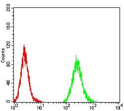 AGR2 Antibody (clone 7H2H7)