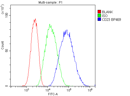 FCER2 / CD23 Antibody (aa50-331)