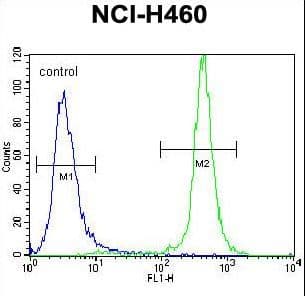 GABRA4 Antibody (aa333-361)