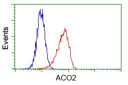 Monoclonal Mouse anti-Human ACO2 / Aconitase 2 Antibody (clone OTI7A11, IF, WB)