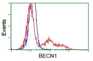 Monoclonal Mouse anti-Human BECN1 / Beclin-1 Antibody (clone OTI3F3, IHC, IF, WB)