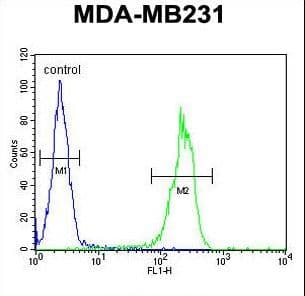 MYSM1 Antibody (aa111-139)
