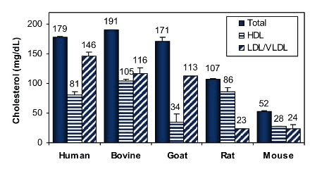HDL and LDL/VLDL Assay Kit (Colorimetric)