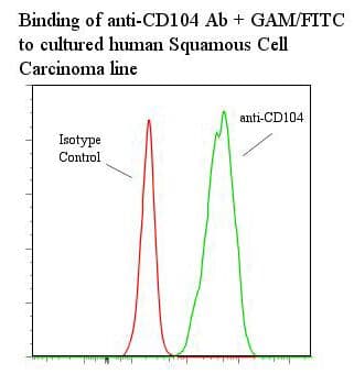 ITGB4 / Integrin Beta 4 Antibody (clone UMA9, Azide-free)