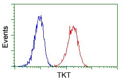 IHC-plus™ Monoclonal Mouse anti-Human TKT / Transketolase Antibody (clone 5H3, IHC, IF, WB)