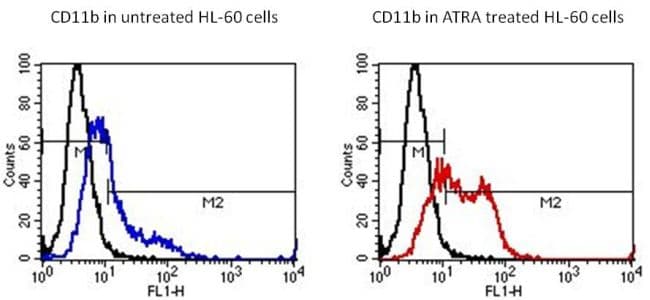 ITGAM / CD11b Antibody (clone MEM-174)