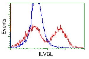 ILVBL Antibody (clone OTI6G9)
