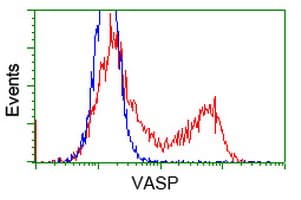 VASP Antibody (clone OTI2G1, Carrier-free)
