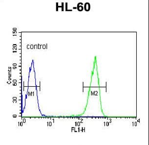 KRT9 / CK9 / Cytokeratin 9 Antibody (aa302-331)