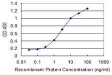 TNFRSF25 / DR3 Antibody (clone 1H2)