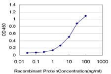 Monoclonal Mouse anti-Human CD82 Antibody (clone 4F2)