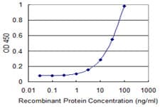 Monoclonal Mouse anti-Human NME3 Antibody (clone 3G10, WB)