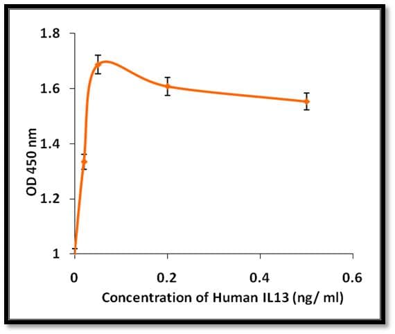 Human IL13 Protein (Recombinant)