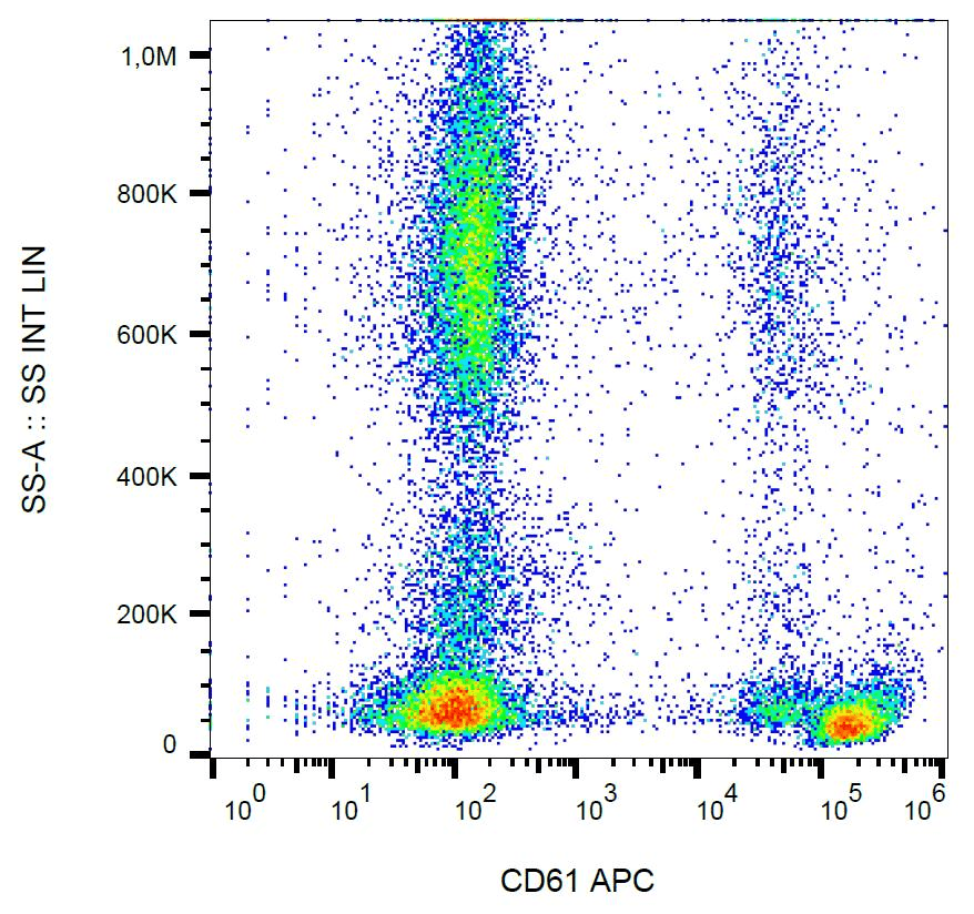 Monoclonal Mouse anti-Human ITGB3 / Integrin Beta 3 / CD61 Antibody (clone VIPL2, APC, IHC, WB)