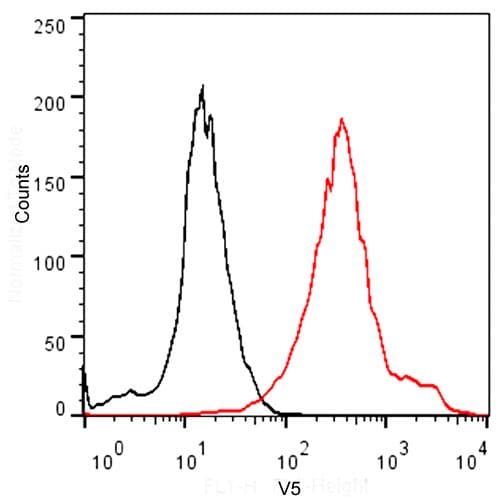 V5 Tag Antibody (HiLyte Fluor 488)