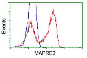 MAPRE2 / EB2 Antibody (clone OTI5F3)