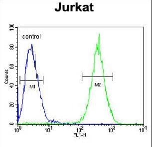 SELPLG / PSGL-1 / CD162 Antibody (aa379-405)