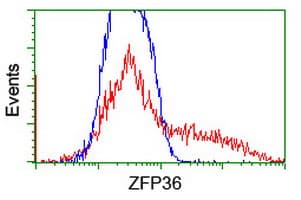 ZFP36 / Tristetraprolin Antibody (clone OTI4B10)