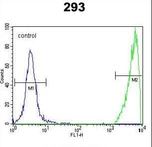 GNAS Antibody (aa287-315)