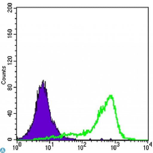 SOD1 / Cu-Zn SOD Antibody