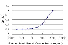 LHX1 Antibody (clone 4D1)