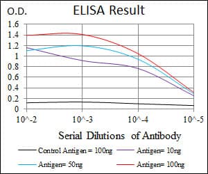 RNF74 / RAG1 Antibody (clone 1D9)