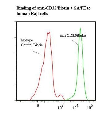 FCGR2 / CD32 Antibody (clone 7.3, Biotin)