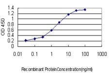 Monoclonal Mouse anti-Human RPRD1A Antibody (clone 1B8, WB)