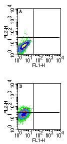 Qa-1b Antibody (clone 6A8.6F10.1A6)