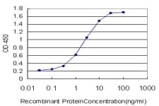 EPHB3 / EPH Receptor B3 Antibody (clone 4E9)
