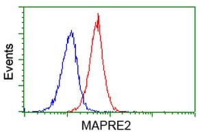 MAPRE2 / EB2 Antibody (clone OTI3C4)