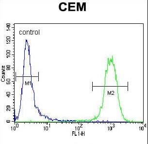 IHC-plus™ ATF3 Antibody (aa140-168)