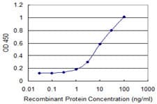 C4orf43 Antibody (clone 4A6)