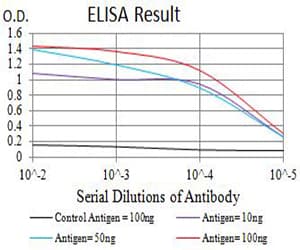 GRIK3 / GLUR7 Antibody (clone 2B3D1)