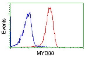 Monoclonal Mouse anti-Human MYD88 Antibody (clone OTI2B2, IHC, IF, WB)