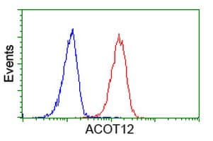 ACOT12 Antibody (clone OTI2F10)