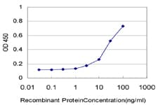 GSK3B / GSK3 Beta Antibody (clone 1H3)
