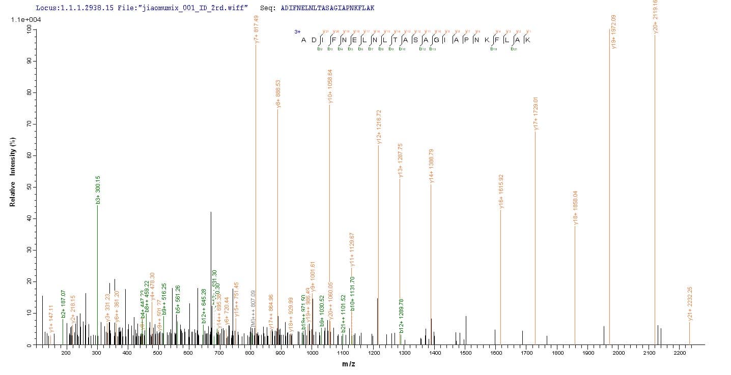 Colwellia psychrerythraea POLK / DNA Polymerase Kappa Protein (Recombinant 6His, N-terminus)