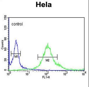 SYTL2 / SLP2 Antibody (aa840-868)
