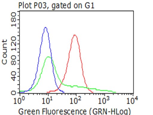 Monoclonal Mouse anti-Human PDPN / Podoplanin Antibody (clone OTI3H5, aa23-131, IHC, WB)